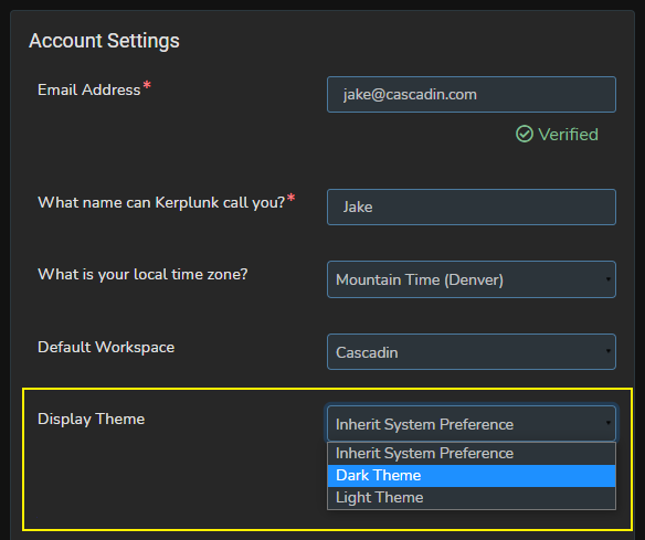 Screenshot of a user's Account Settings with the Display Theme dropdown open and dark theme is selected.