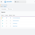 Example of simple organizing in Spaces in Cascadin