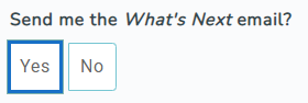 Screen snippet showing the What's Next email active  control.